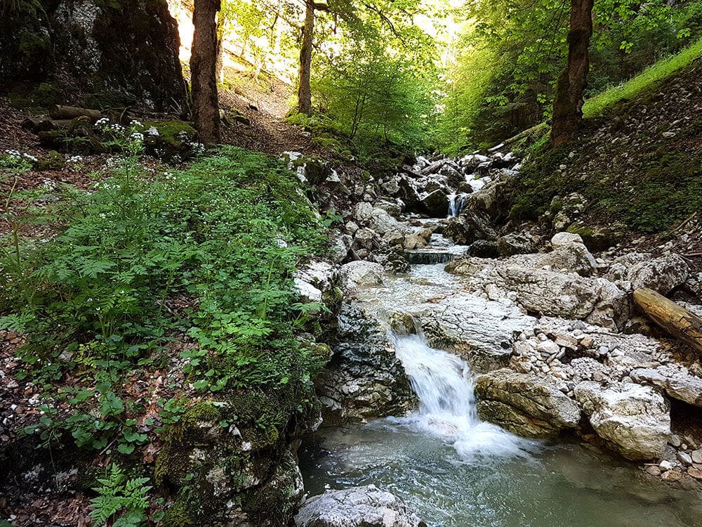 photo stream in the Combe-Grède